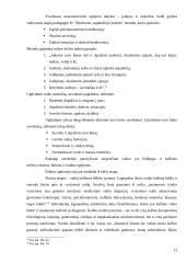 Cerebrinio paralyžiaus priežastys ir cerebriniu paralyžiumi sergančių vaikų ugdymo galimybės 13 puslapis