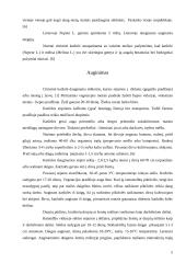 Citrininė katžolė (Nepeta cataria L.) 5 puslapis