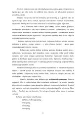 Cukrinis diabetas 5 puslapis