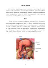 Cukrinis diabetas ir jo gydymas 2 puslapis