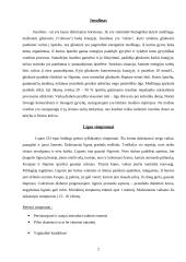 Cukrinis diabetas ir jo gydymas 3 puslapis