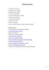 Černobilio avarija 10 puslapis