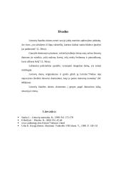 Dainuojamoji tautosaka 13 puslapis