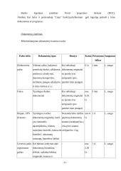 Dalykinė komunikacija ir raštvedyba 9 puslapis