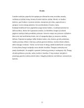 Darbas ir šventės 11 puslapis