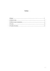 Ieškinio suma ir jos nustatymas