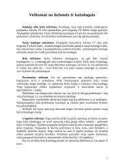 Darbas su bylomis ir katalogais 5 puslapis