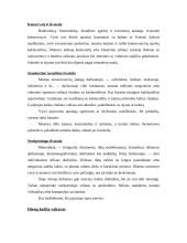 Darbo drabužiai 4 puslapis