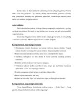 Darbo drabužiai 5 puslapis