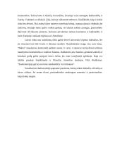 Darbo drabužiai 7 puslapis