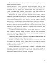 Dažų įvairovė interjero apdailoje 10 puslapis