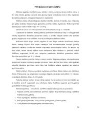 Dažų įvairovė interjero apdailoje 11 puslapis