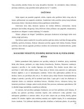 Dažų įvairovė interjero apdailoje 13 puslapis
