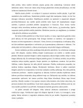 Dažų įvairovė interjero apdailoje 14 puslapis