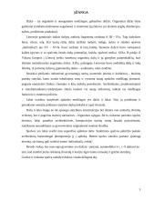 Dažų įvairovė interjero apdailoje 2 puslapis