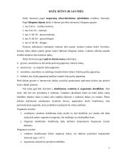Dažų įvairovė interjero apdailoje 4 puslapis