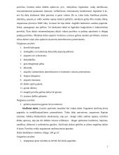 Dažų įvairovė interjero apdailoje 6 puslapis