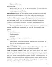 Dažų įvairovė interjero apdailoje 8 puslapis