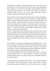 Demonstracinis vartojimas 3 puslapis