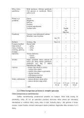 Dietinis gydymas po virškinimo organų operacijos 7 puslapis