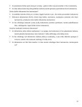Dokumentų laminavimas 13 puslapis