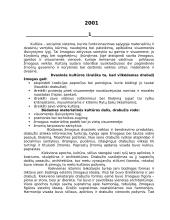 Drabužis kaip simbolis įvairiose istorijos epochose 2 puslapis