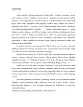 Dramblio Kaulo Krantas 6 puslapis