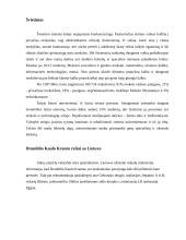 Dramblio Kaulo Krantas 7 puslapis