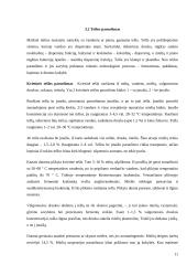 Duonos kepimo technologija 11 puslapis