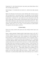 Duonos kepimo technologija 14 puslapis
