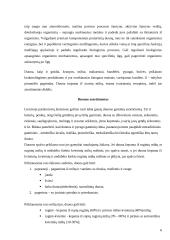 Duonos kepimo technologija 6 puslapis
