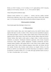 Duonos kepimo technologija 9 puslapis
