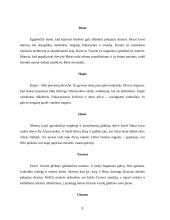 Egipto dievai 9 puslapis