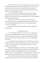 Egzogeniniai cheminiai kancerogenai 2 puslapis