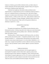 Egzogeniniai cheminiai kancerogenai 4 puslapis