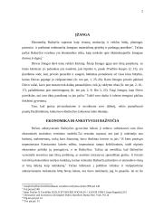 Ekonomika bažnyčios institucijose 2 puslapis