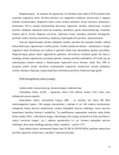 Elektrinių ir magnetinių laukų poveikis žmogaus organizmui 13 puslapis