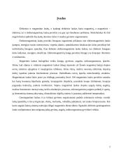 Elektrinių ir magnetinių laukų poveikis žmogaus organizmui 3 puslapis