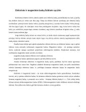 Elektrinių ir magnetinių laukų poveikis žmogaus organizmui 4 puslapis