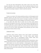 Elektrinių ir magnetinių laukų poveikis žmogaus organizmui 9 puslapis