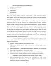 Empirinių duomenų rinkimas. Tyrimo duomenų patikimumas ir objektyvumas. Tyrimo duomenų apdorojimas. 4 puslapis