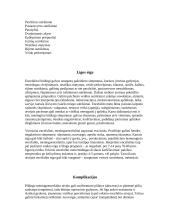 Encefalitas 2 puslapis
