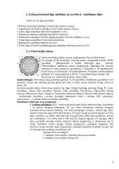 Erkių platinami ligų sukėlėjai, jų paplitimas Lietuvoje 5 puslapis