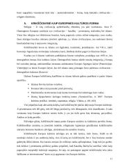 Europinio identiteto bruožai 11 puslapis