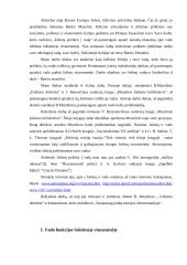 Fašistų požiūris į vadą 2 puslapis