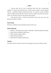 Galvijų mėsa 2 puslapis