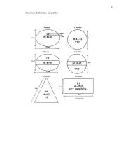 Galvijų mėsa 12 puslapis