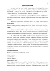 Galvijų mėsa 13 puslapis