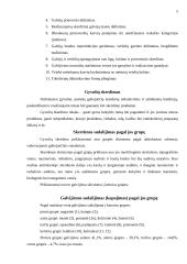 Galvijų mėsa 5 puslapis