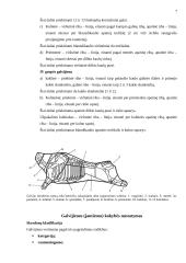 Galvijų mėsa 7 puslapis